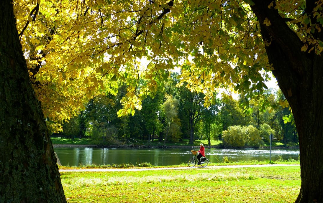 Danube Cycle Path