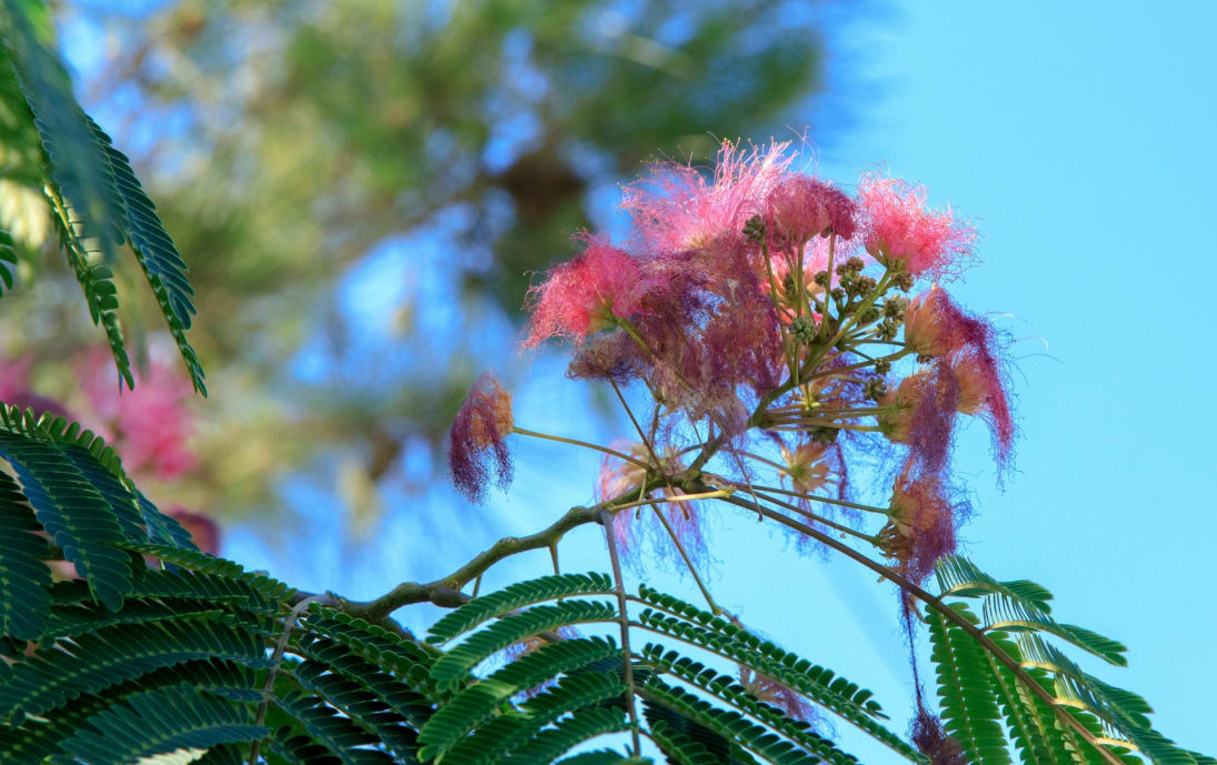 Botanical Park & Gardens of Crete