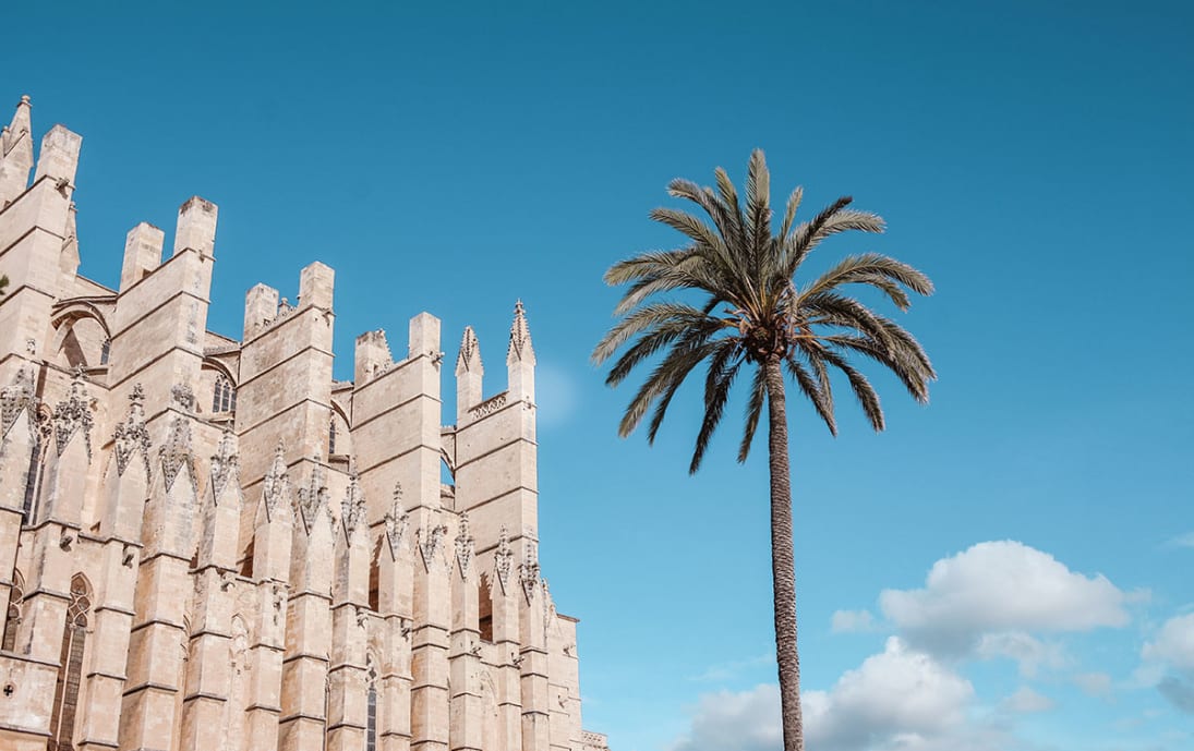 Palma cathedral by day
