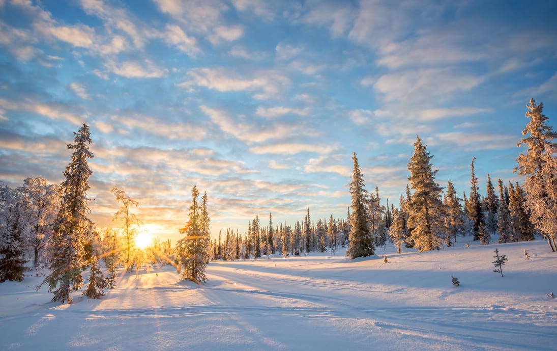 Dusk in snowy Lapland