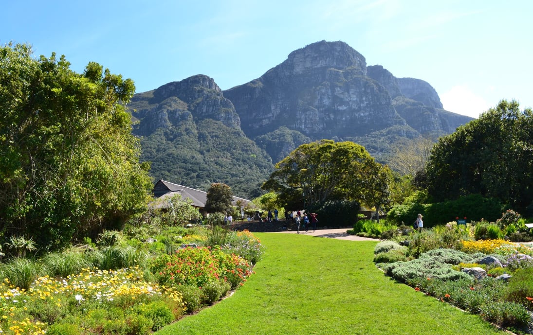 Kirstenbosch National Botanical Garden, South Africa