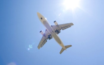 Chief Executive's Summer Review