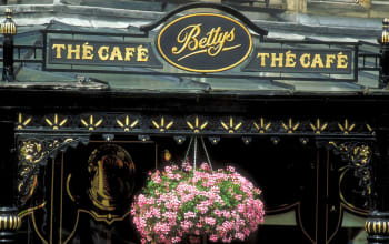 Go see Yorkshire’s high street heroes