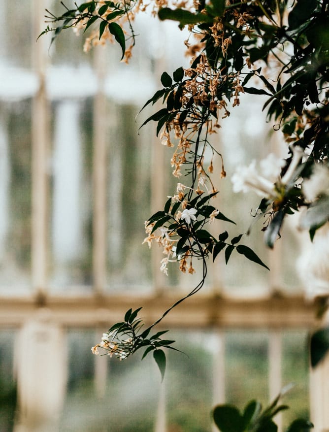 Dublin’s National Botanic Gardens