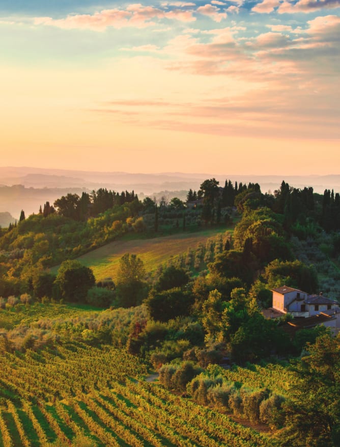 Tuscany at dawn