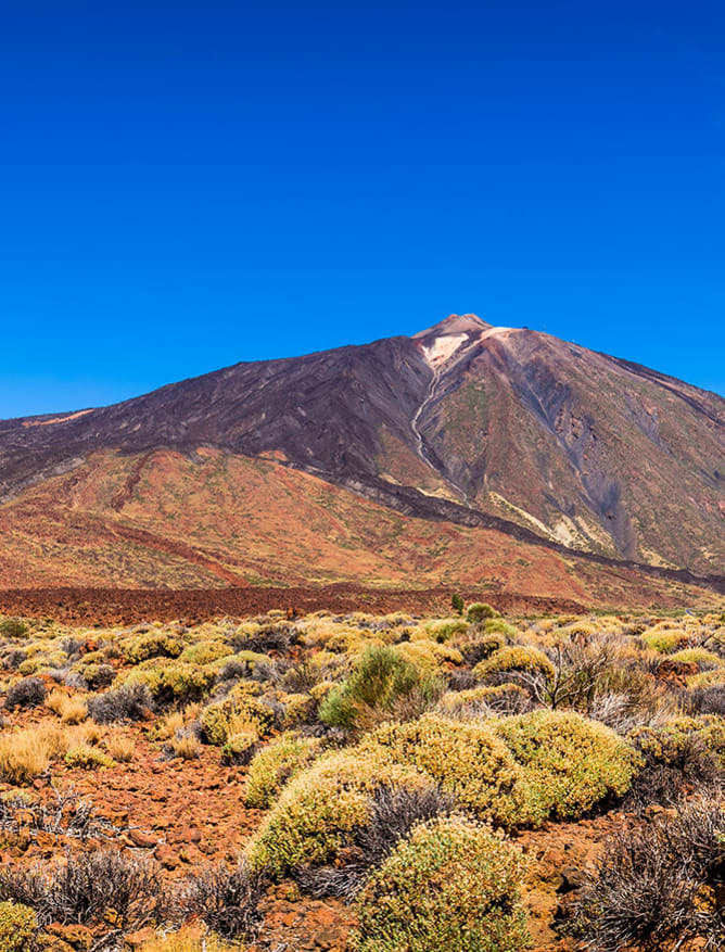 Scenic Tenerife hillside