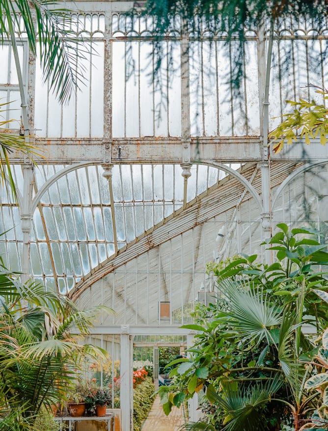 Botanical gardens in Belfast