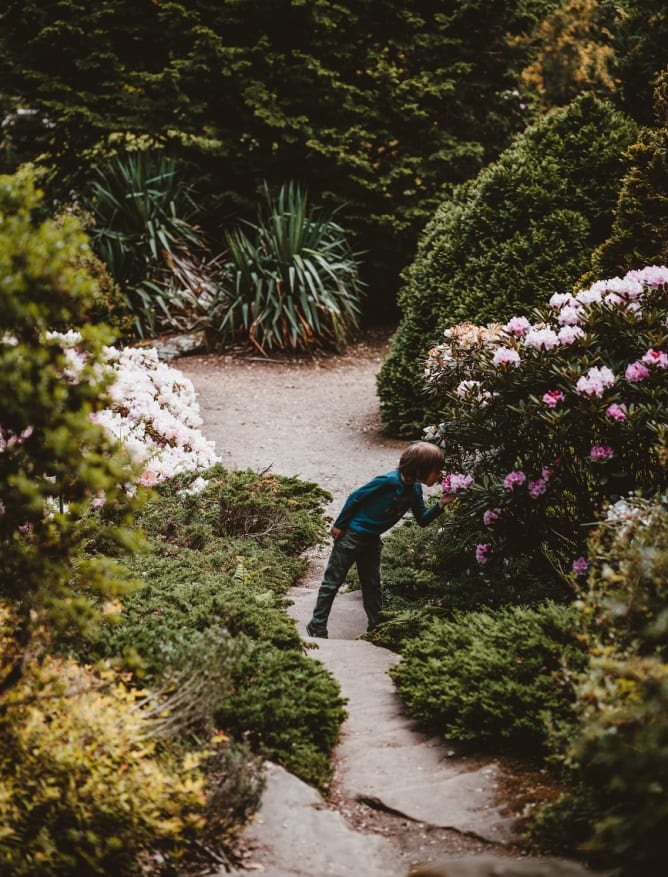 Exbury Gardens