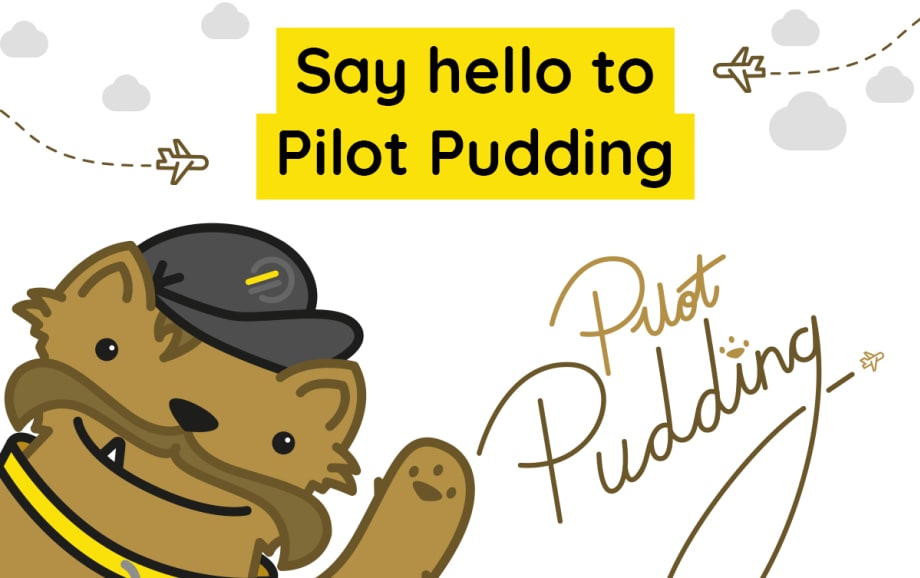 Say hello to Pilot Pudding the Leeds Bradford Airport 'Yorkie'